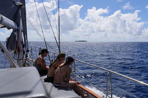 Ocean Free Green Island & Great Barrier Reef Snorkel Cruise, Cairns 25 Guests - Accommodation Perth 4