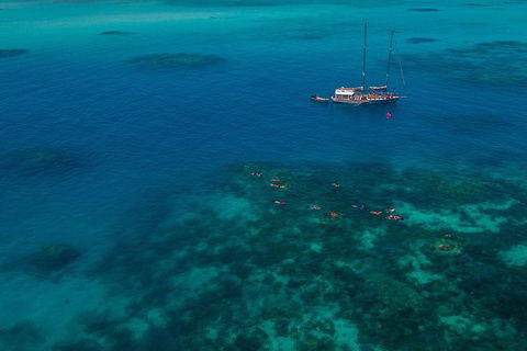 Ocean Free Green Island & Great Barrier Reef Snorkel Cruise, Cairns 25 Guests - Accommodation Perth 5