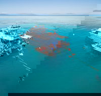 Ocean Freedom Great Barrier Reef Personal Luxury Snorkel  Dive Cruise Cairns - Accommodation Perth
