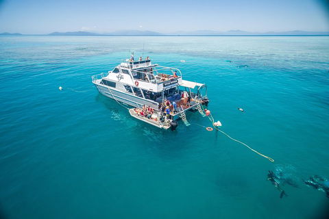 Ocean Freedom Great Barrier Reef Personal Luxury Snorkel & Dive Cruise, Cairns - Accommodation Perth 0