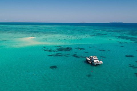 Ocean Freedom Great Barrier Reef Personal Luxury Snorkel & Dive Cruise, Cairns - Accommodation Perth 2
