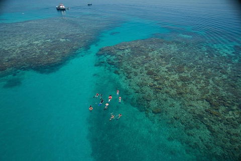 Ocean Freedom Great Barrier Reef Personal Luxury Snorkel & Dive Cruise, Cairns - Accommodation Perth 3