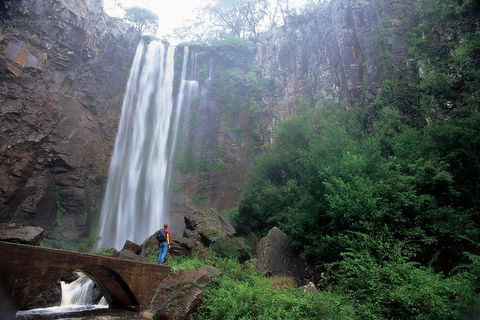 Brisbane Day In The Country Full-Day Small-Group Tour With Lunch - Perth Resorts 3