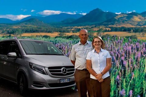 Brisbane Day In The Country Full-Day Small-Group Tour With Lunch - Perth Resorts 4