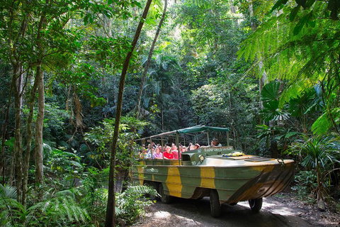 Kuranda Highlights Including Rainforestation Aboriginal Culture And Wildlife - Accommodation Perth 2