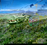 Best of Kuranda Including Skyrail Kuranda Scenic Railway and Rainforestation - Accommodation Perth