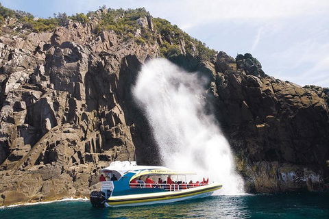 Full-Day Bruny Island Cruises Day Tour From Hobart - Accommodation Perth 4