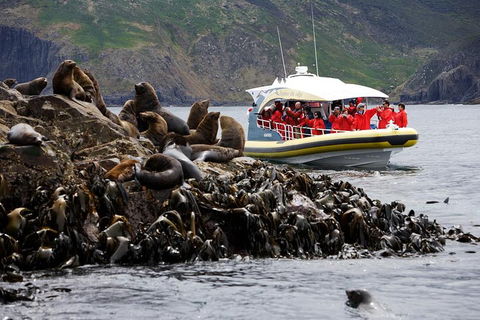 3-Hour Bruny Island Cruise From Adventure Bay, Bruny Island - Accommodation Perth 4