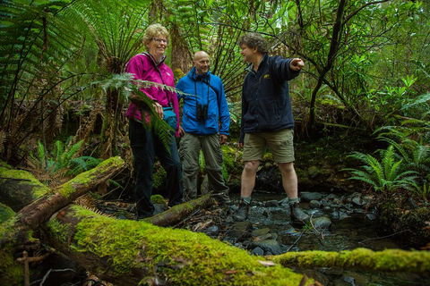Bruny Island Traveller - Gourmet Tasting And Sightseeing Day Trip From Hobart - Accommodation Perth 1