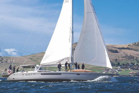 Half-Day Sailing On The Derwent River From Hobart - Accommodation Perth 1
