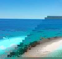 Ocean Safari Great Barrier Reef Experience in Cape Tribulation - Accommodation Perth