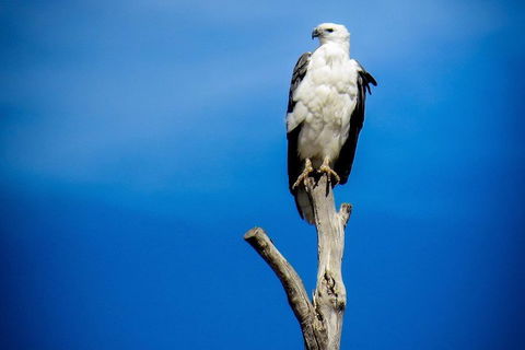 Kangaroo Island 75-Minute Ocean Safari - Accommodation Perth 0