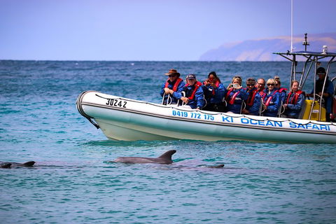 Kangaroo Island 75-Minute Ocean Safari - Accommodation Perth 4