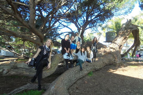 1/2 Day Swan Valley Wine Cheese & Chocolate Tour Inc Afternoon Cruise To Perth - Accommodation Perth 0