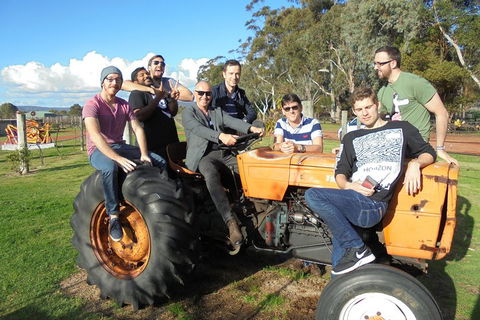 1/2 Day Swan Valley Wine Cheese & Chocolate Tour Inc Afternoon Cruise To Perth - Accommodation Perth 1