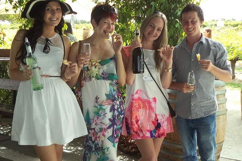 1/2 Day Swan Valley Wine Cheese & Chocolate Tour Inc Afternoon Cruise To Perth - Accommodation Perth 4