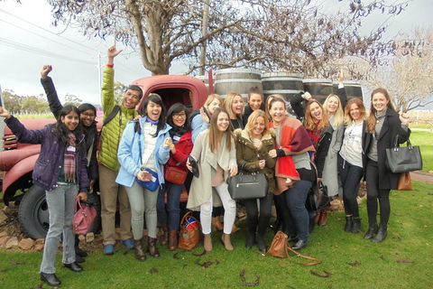 1/2 Day Swan Valley Wine Cheese & Chocolate Tour Inc Afternoon Cruise To Perth - Accommodation Perth 5
