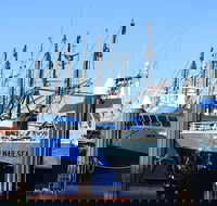 One Day Port Lincoln Tour - Tasting Eyre - Accommodation Perth