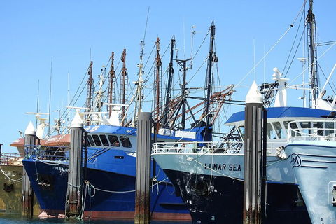 One Day Port Lincoln Tour - Tasting Eyre - Accommodation Perth 0