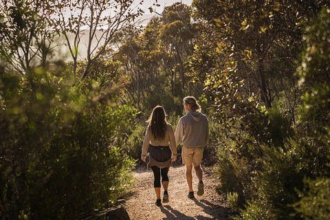 One Day Port Lincoln Tour - Tasting Eyre - Accommodation Perth 5