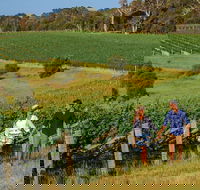 10 Day Perth to Adelaide Private Tour - The Great Australian Wilderness Journey - Accommodation Perth