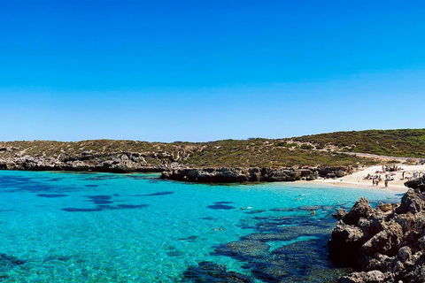 Rottnest Island Roundtrip Fast Ferry From Hillarys Boat Harbour - Accommodation Perth 4
