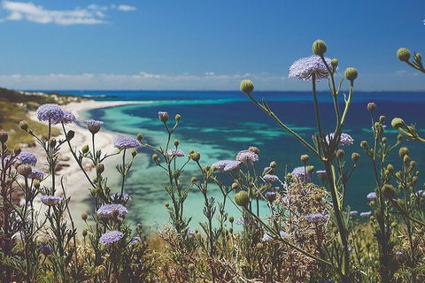 Rottnest Island Full-Day Trip With Guided Island Tour From Perth - Accommodation Perth 2
