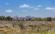 Overnight Uluru (Ayers Rock) Small-Group Camping Tour - thumb 0
