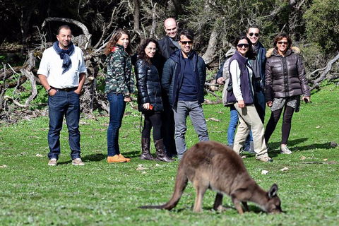 2-Day Kangaroo Island 4WD Small-Group Tour From Adelaide - Accommodation Perth 1