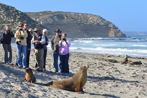 2-Day Kangaroo Island 4WD Small-Group Tour From Adelaide - Accommodation Perth 3