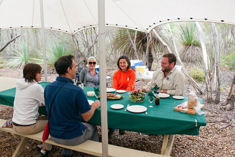 Full Day Seal Bay Experience Departing From Kangaroo Island - Accommodation Perth 1