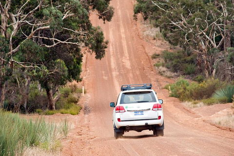 Full Day Seal Bay Experience Departing From Kangaroo Island - Accommodation Perth 2