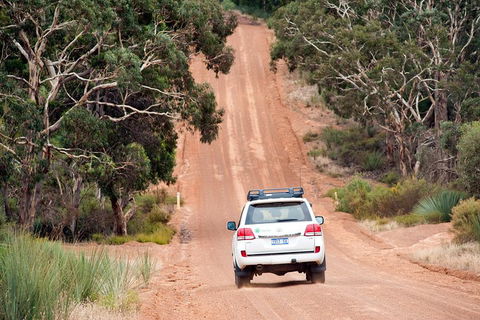Small-Group Kangaroo Island 4WD Tour From Adelaide - Accommodation Perth 3