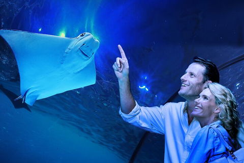 Cairns Aquarium Tour By Twilight With Drink And Appetiser - Perth Resorts 4