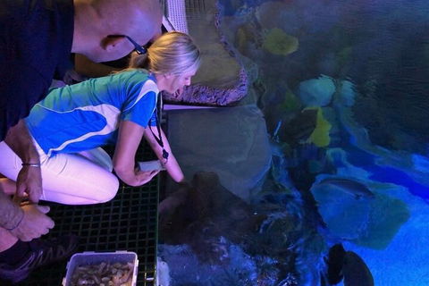 Cairns Aquarium Marine Life Encounter Ticket With 2-Course Lunch - Perth Resorts 2