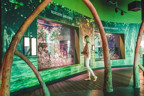 Cairns Aquarium Marine Life Encounter Ticket With 2-Course Lunch - Perth Resorts 3