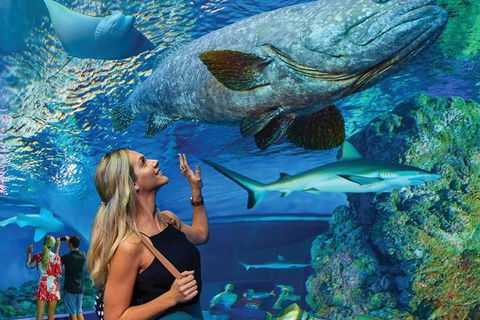 Cairns Aquarium Family Ticket - Perth Resorts 3