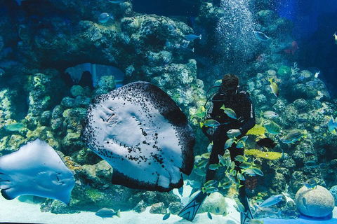 Cairns Aquarium Family Ticket - Perth Resorts 4