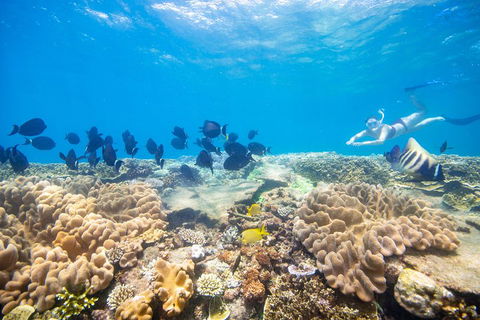 Outer Reef Pontoon Experience From Cairns - Accommodation Perth 4
