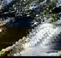Cradle Mountain Day Tour from Launceston Including Lunch - Accommodation Perth