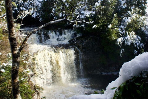 Cradle Mountain Day Tour From Launceston Including Lunch - Accommodation Perth 0