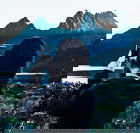 Cradle Mountain Park Explorer Guided Tour - Accommodation Perth
