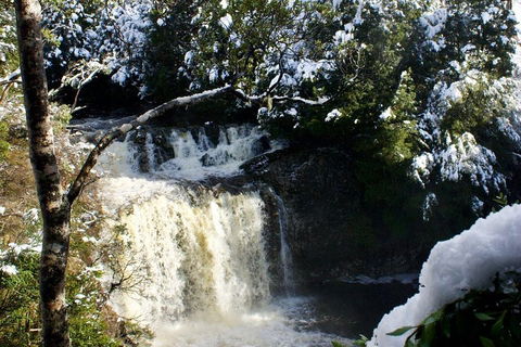 Cradle Mountain Park Explorer Guided Tour - Accommodation Perth 4
