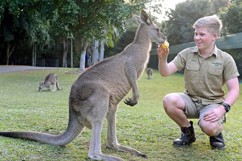 Small-Group Australia Zoo Day Trip From Brisbane - Accommodation Perth 4