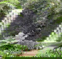 Private Daintree and Cape Tribulation Tour from Port Douglas - Accommodation Perth