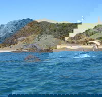 Kayaking with Dolphins in Byron Bay Guided Tour - Accommodation Perth
