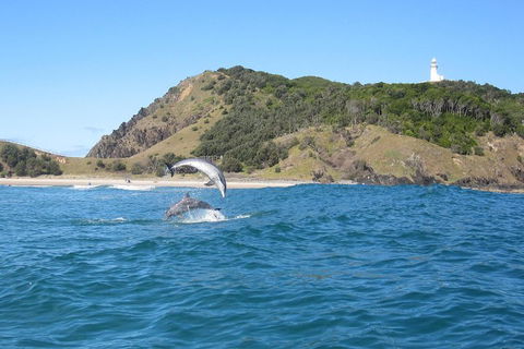 Kayaking With Dolphins In Byron Bay Guided Tour - Accommodation Perth 0