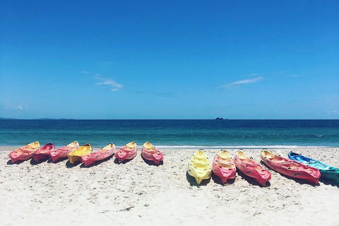 Kayaking With Dolphins In Byron Bay Guided Tour - Accommodation Perth 1