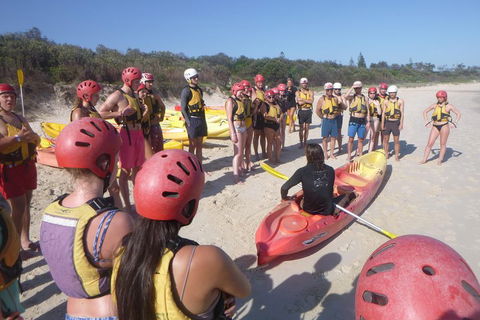 Kayaking With Dolphins In Byron Bay Guided Tour - Accommodation Perth 2