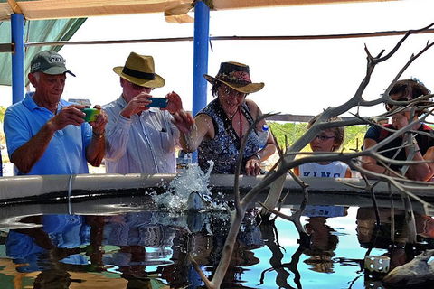 Cape Leveque 4WD Tour From Broome With Optional Return Flight - Accommodation Perth 0